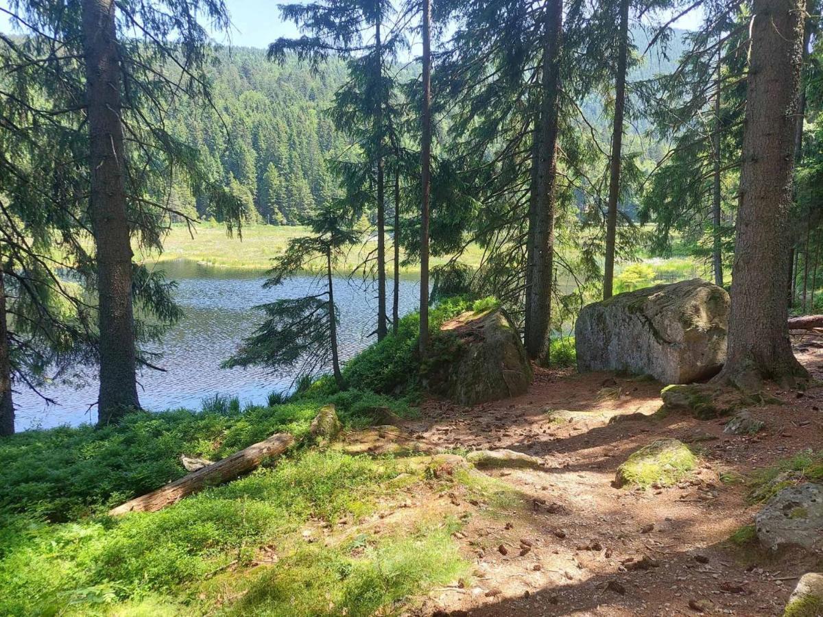 Pension Eichhorn Bayerisch Eisenstein Luaran gambar