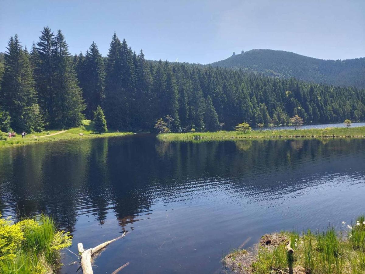 Pension Eichhorn Bayerisch Eisenstein Luaran gambar